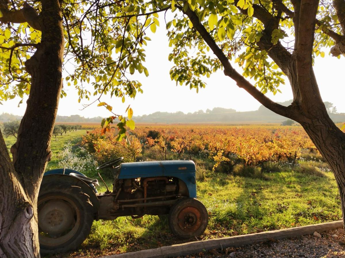Gite En Provence "Rose" Modene ภายนอก รูปภาพ