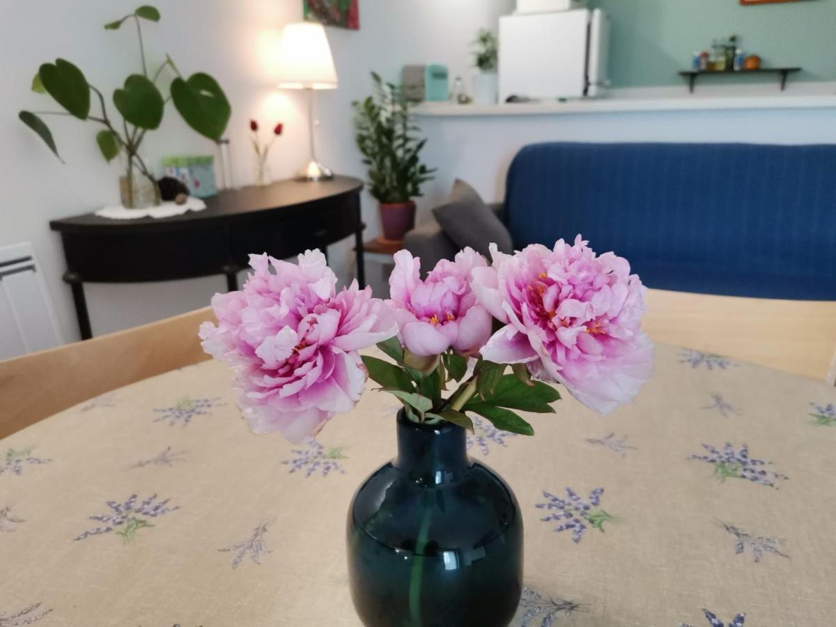 Gite En Provence "Rose" Modene ภายนอก รูปภาพ