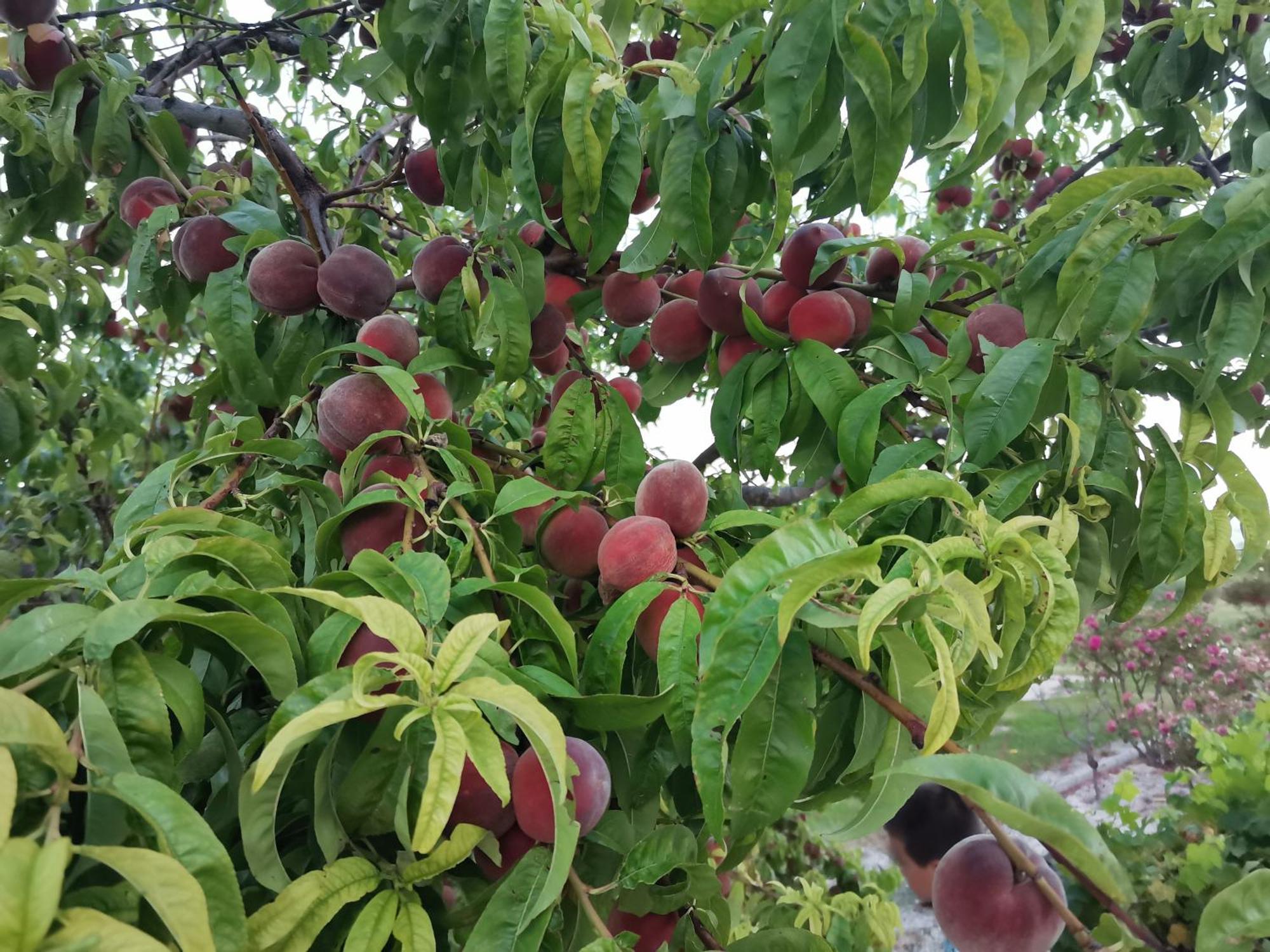 Gite En Provence "Rose" Modene ภายนอก รูปภาพ