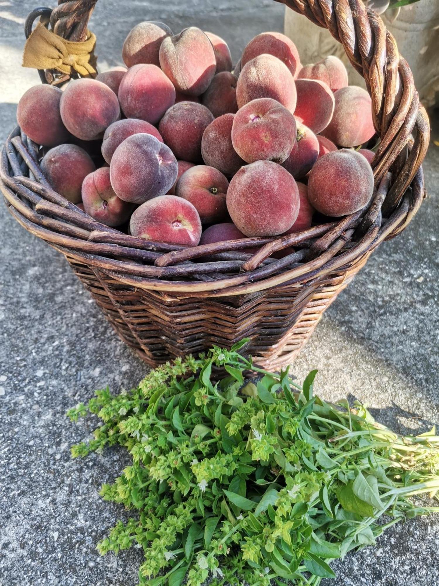 Gite En Provence "Rose" Modene ภายนอก รูปภาพ