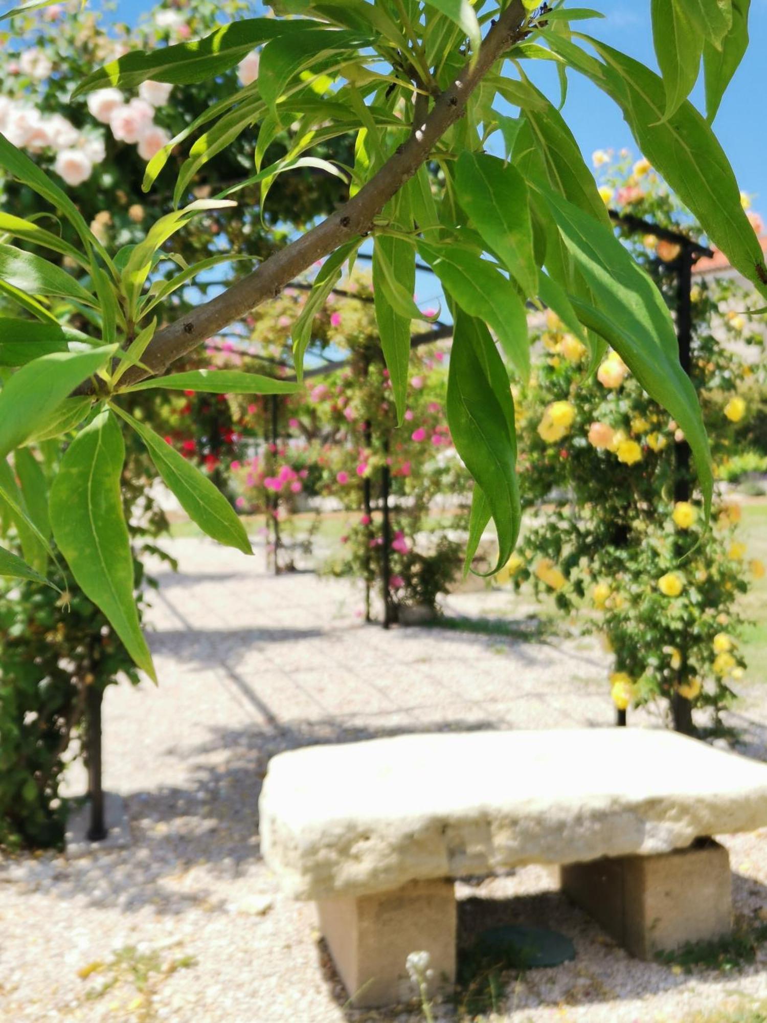 Gite En Provence "Rose" Modene ภายนอก รูปภาพ
