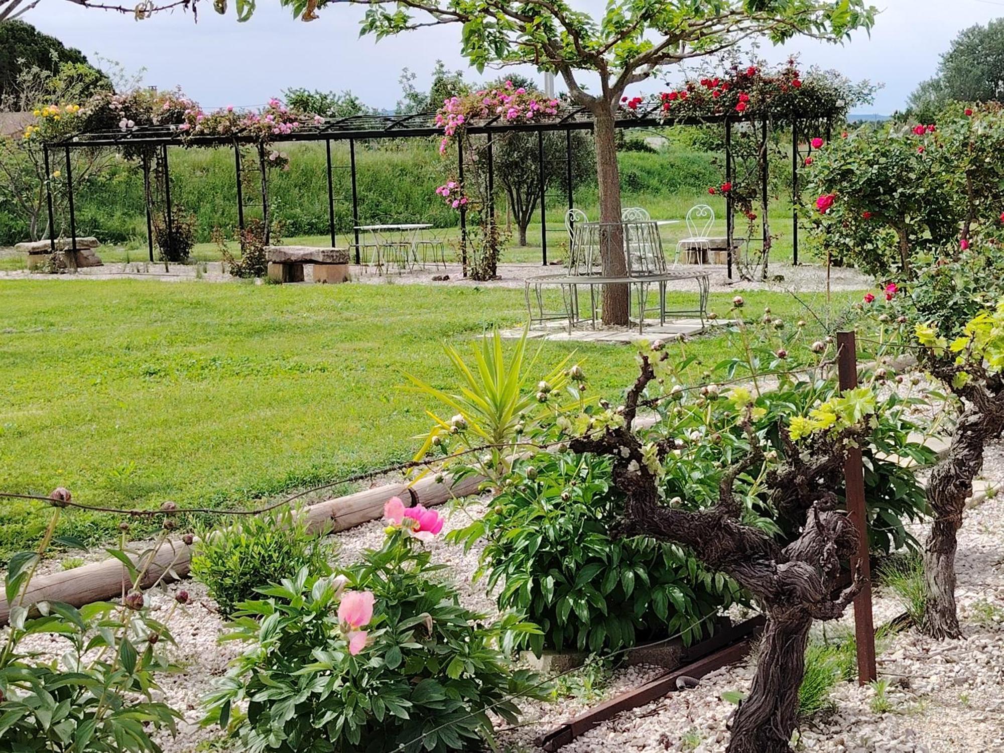 Gite En Provence "Rose" Modene ภายนอก รูปภาพ